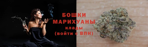 прущие грибы Богородск