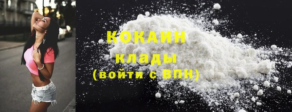 стафф Богданович