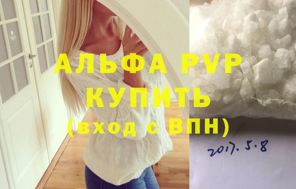 прущие грибы Богородск